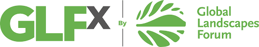 GLFX logo