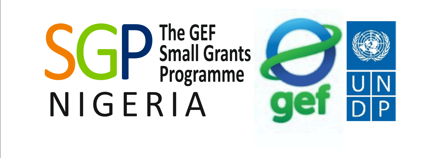 UNDP logo